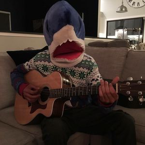 Meet your Posher, Art